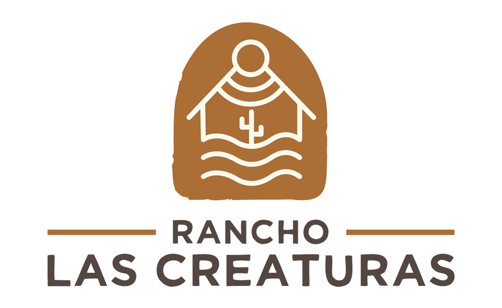 Rancho las Creaturas – Experiencia en Tecate